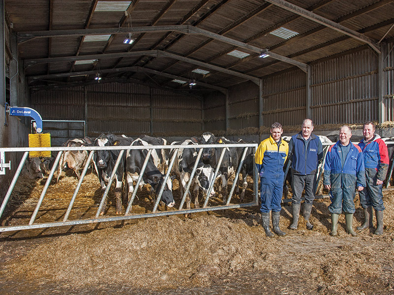 The Morgans recently installed DeLaval lighting in their cow shed