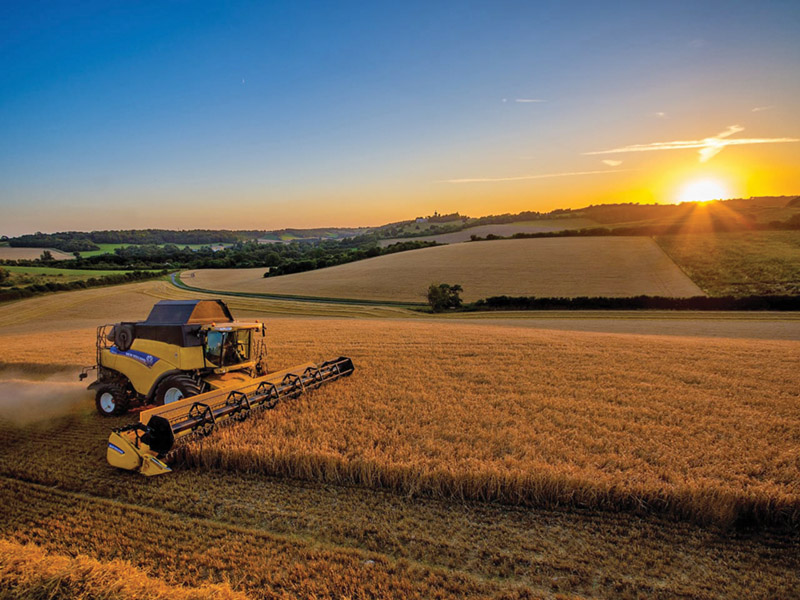 Enter our Harvest Photography Competition