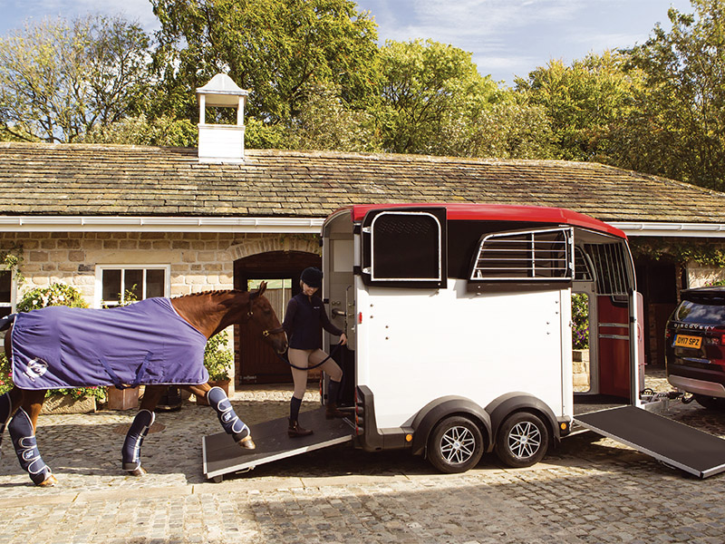 Horse being walked into a horsebox
