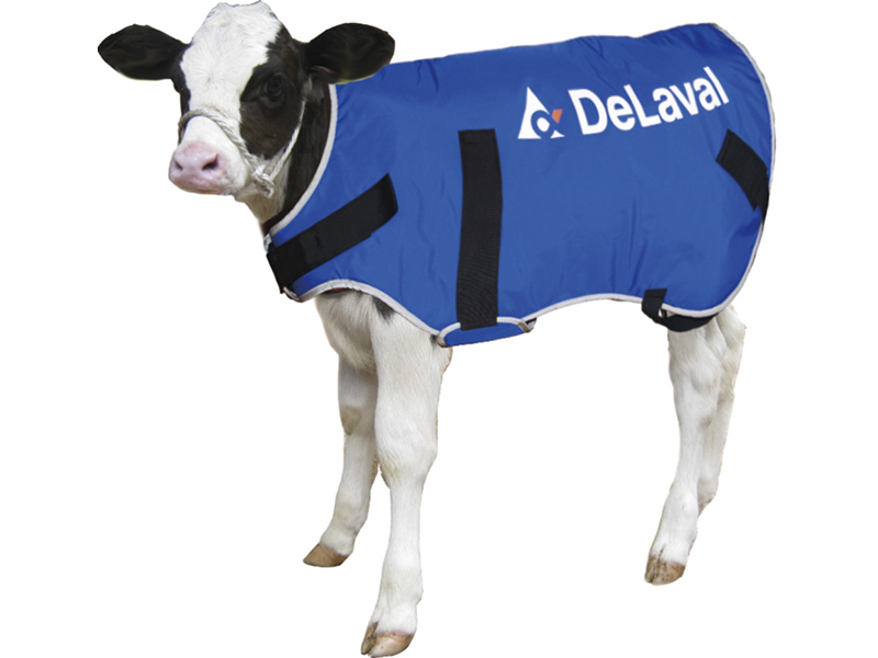 DeLAVAL DAIRY PRODUCTS ON OFFER