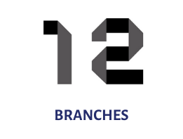 11 branches
