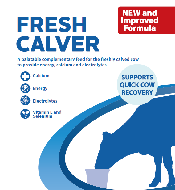 Support fast cow recovery with Fresh Calver