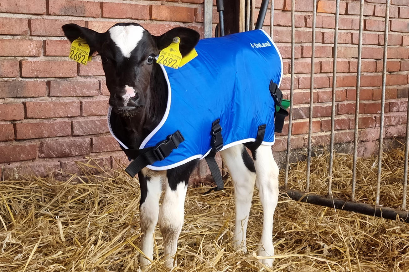 FETF Grant – DeLaval Calf Coat – now even better
