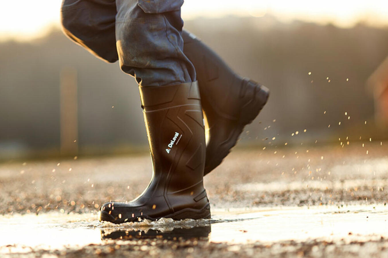 CLOTHING SPECIAL DeLaval Safety Boots